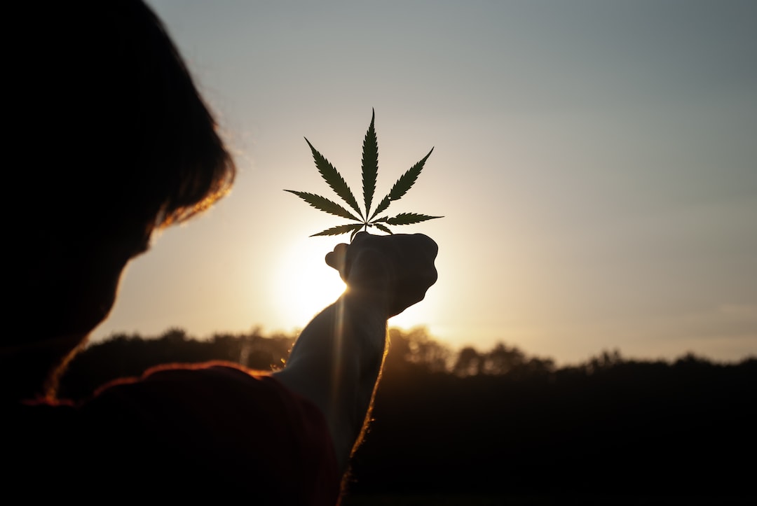 Cannabis vs. Marijuana: Debunking Myths and Understanding the Differences