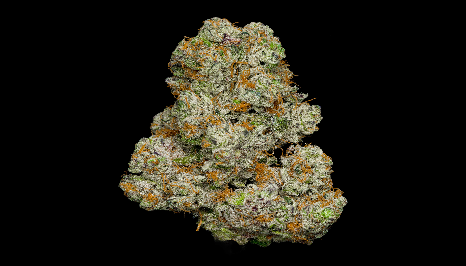 The Girl Scout Cookies Strain: A Sweet Delight for Cannabis Enthusiasts