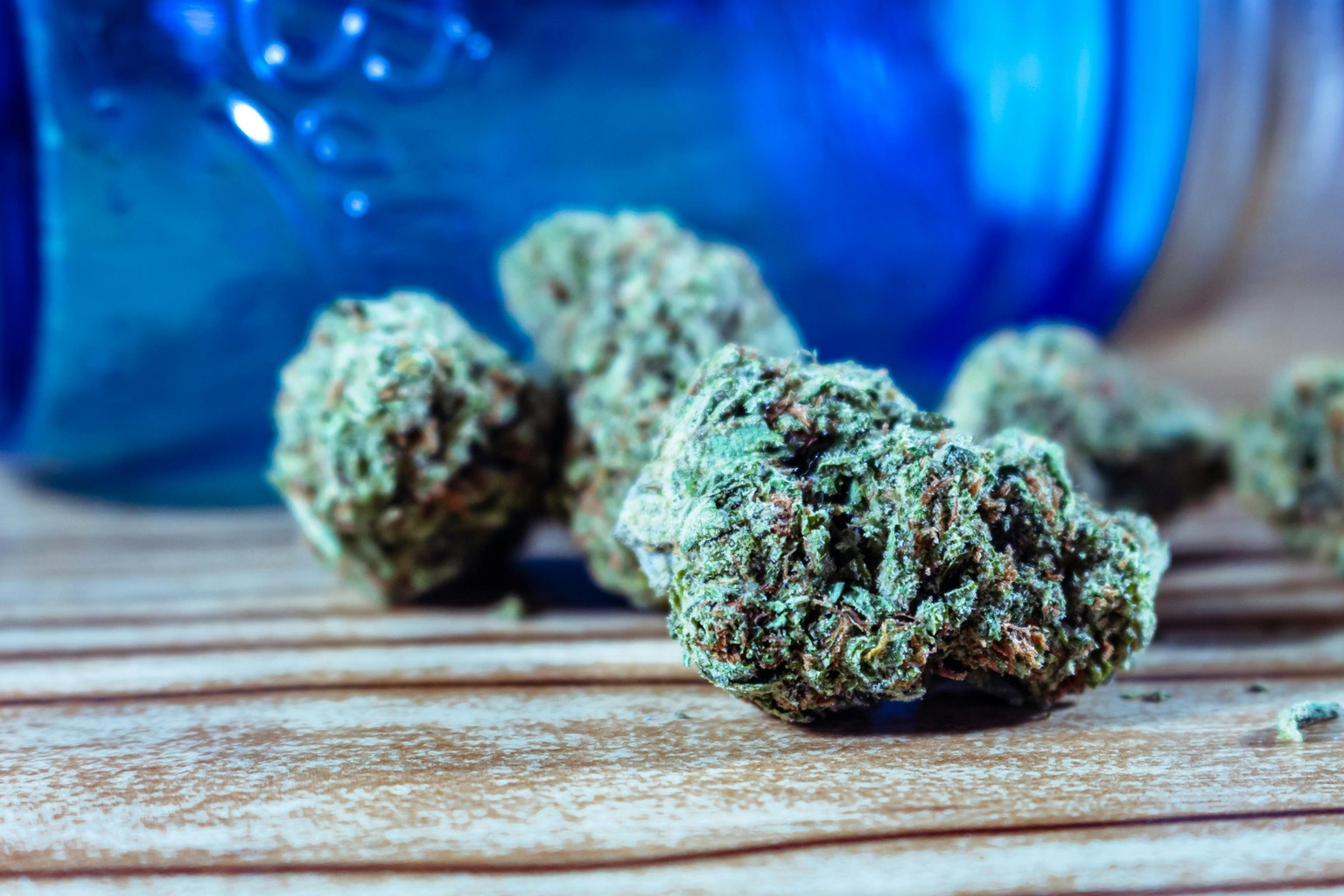 Understanding Indica vs Sativa: Which Strain is Right for You?