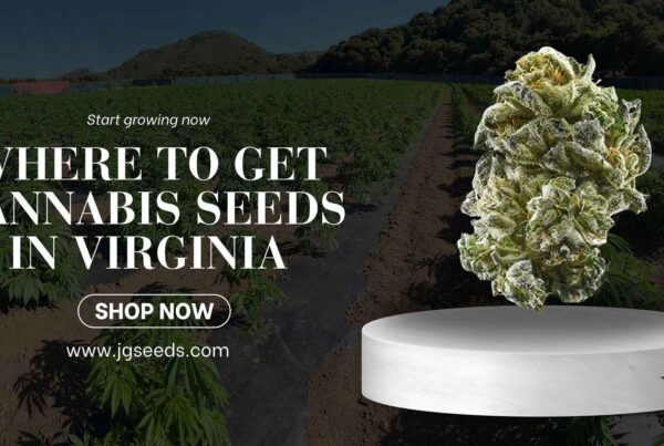 where to get cannabis seeds in virginia