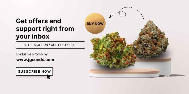 10% Off for New Customers: Wide Selection of Strains