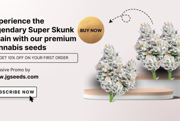 Experience the legendary Super Skunk strain with our premium cannabis seeds