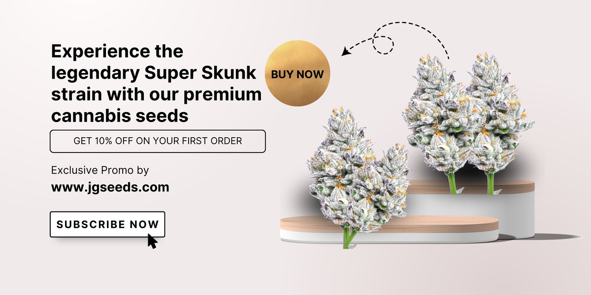 Experience the legendary Super Skunk strain with our premium cannabis seeds