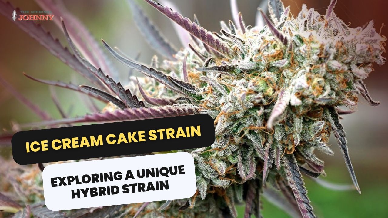 Ice Cream Cake Strain