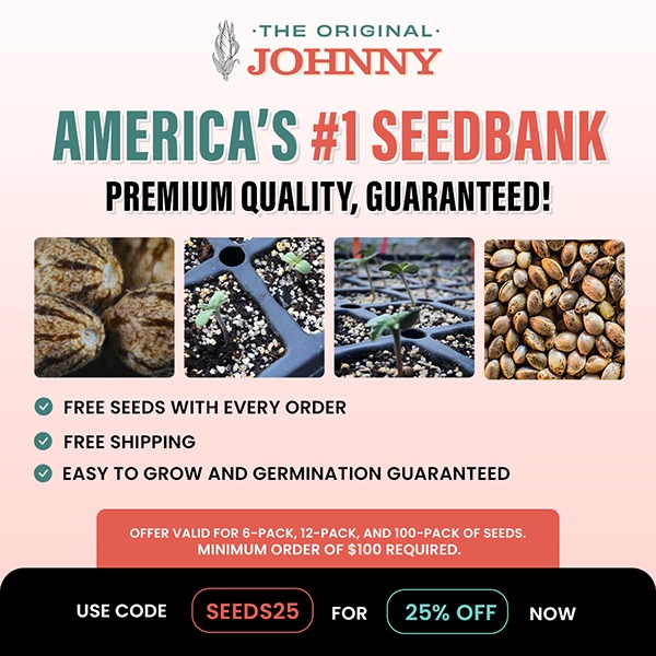 Top Cannabis Seeds in the USA: Regular & Autoflower Strains