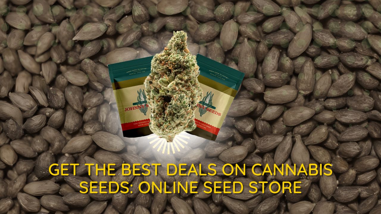 Get the Best Deals on Cannabis Seeds: Online Seed Store