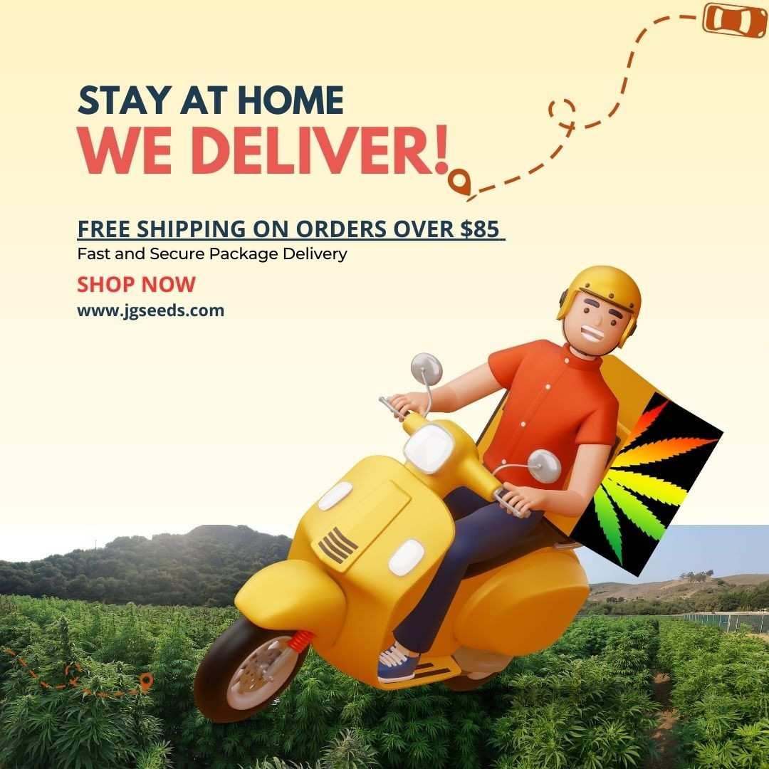 Free Shipping: Your Guide to JG Seeds’ Policy