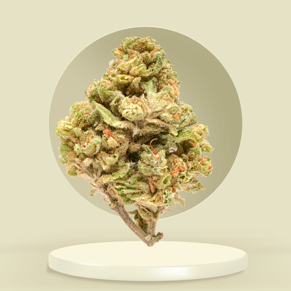 Exclusive Offers: Acapulco Gold Seeds Shipping Deals